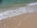 Okinawa Kohamajima Sea